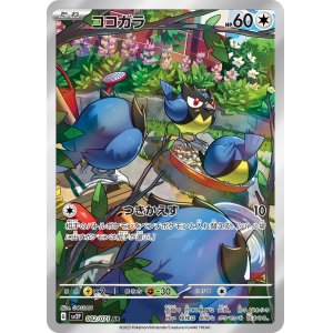画像1: ココガラ