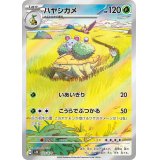 ハヤシガメ