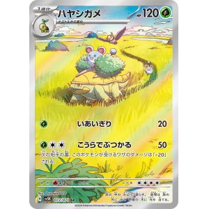 画像1: ハヤシガメ