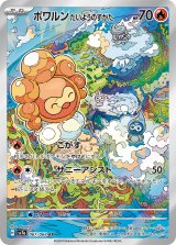 ポワルンたいようのすがた