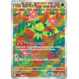 マラカッチ