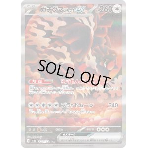 画像1: ガチグマアカツキex