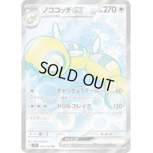 画像1: ノココッチex