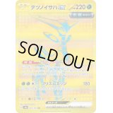 テツノイサハex