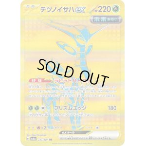 画像1: テツノイサハex