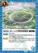 ボーニヤ環状遺跡群（BS72 BS72-074 C） 状態A