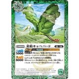 菜精キャベバード（BS72 BS72-029 C） 状態A