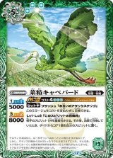 菜精キャベバード（BS72 BS72-029 C） 状態A