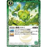 樹精フタバ（BS60 BS60-025 C） 状態A