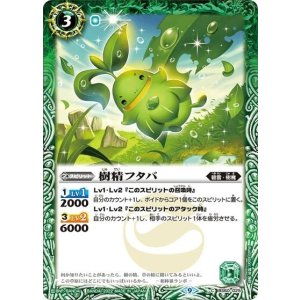 樹精フタバ（BS60 BS60-025 C） 状態A