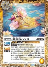 睡蓮鳥ハジロ（BS74 BS74-054 C） 状態A