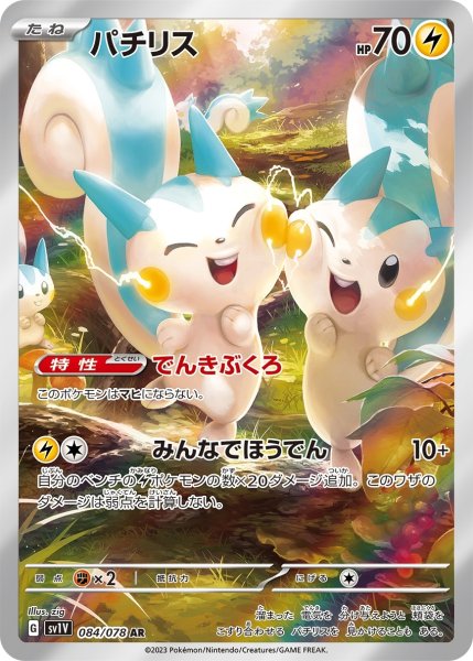 画像1: パチリス (1)