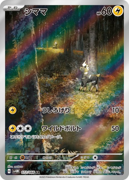 画像1: シママ (1)