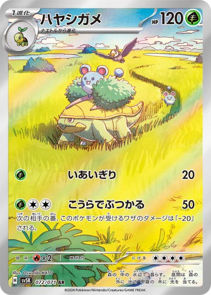 画像1: ハヤシガメ (1)