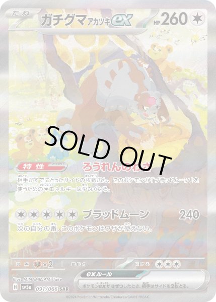 画像1: ガチグマアカツキex (1)