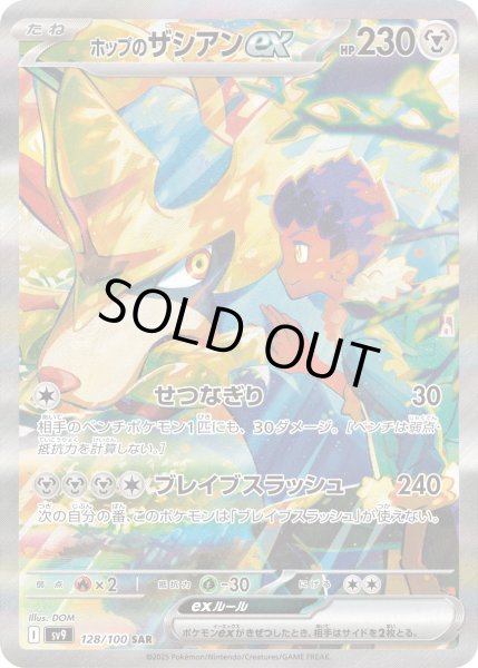 画像1: ホップのザシアンex (1)