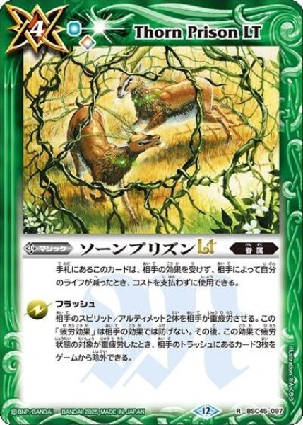 ソーンプリズンLT（BS72 BSC45-097 R） 状態A