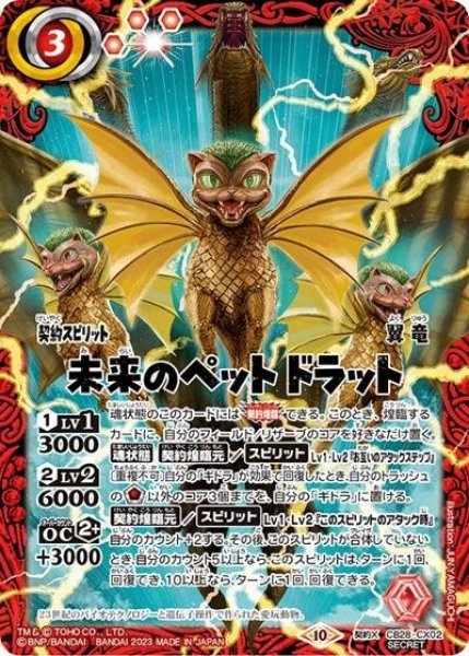 未来のペット ドラット（CB28 CB28-CX02 SEC-契約X） 状態A