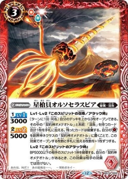 星槍貝オルソセラスピア（BS74 BS74-002 C） 状態A